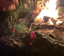 Mysigast i söderort! Som på landet, men nästan i stan.